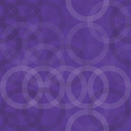 Hidden Password Protected Pages logo