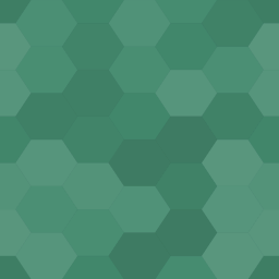 Delaram Visitor Journey logo