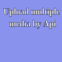 Upload Multiple Media by API logo