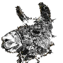 RSS llama logo