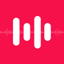 Smart Voice Search logo