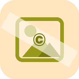 Thenaynhe Watermark logo