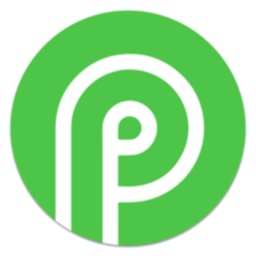 Payid19 Crypto Payment Gateway logo