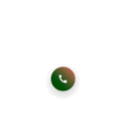 Web Solution Smart Contact Button logo