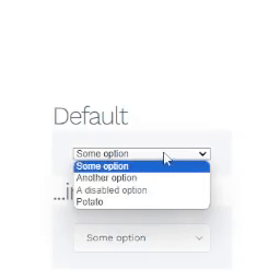 Nice Select for WordPress logo