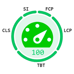 Speed Auditor logo