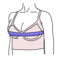 Bra Size Calculator logo