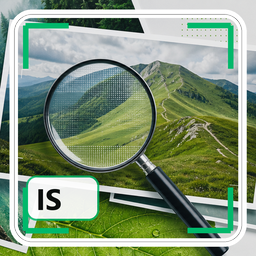 ITBoffins Image Scout logo