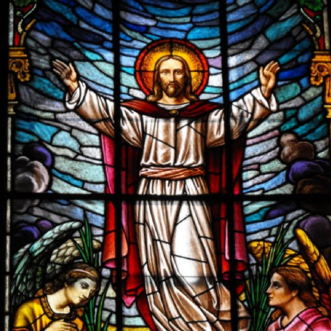 Santo do Dia logo