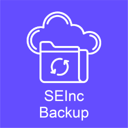 SEInc Backup logo