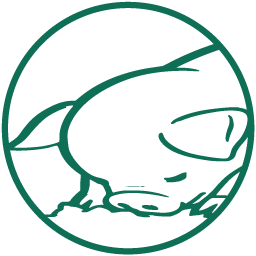 GRUH Log Activity logo