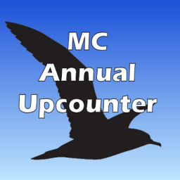 MC Annual Upcounter logo