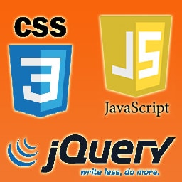 Custom CSS/JS logo