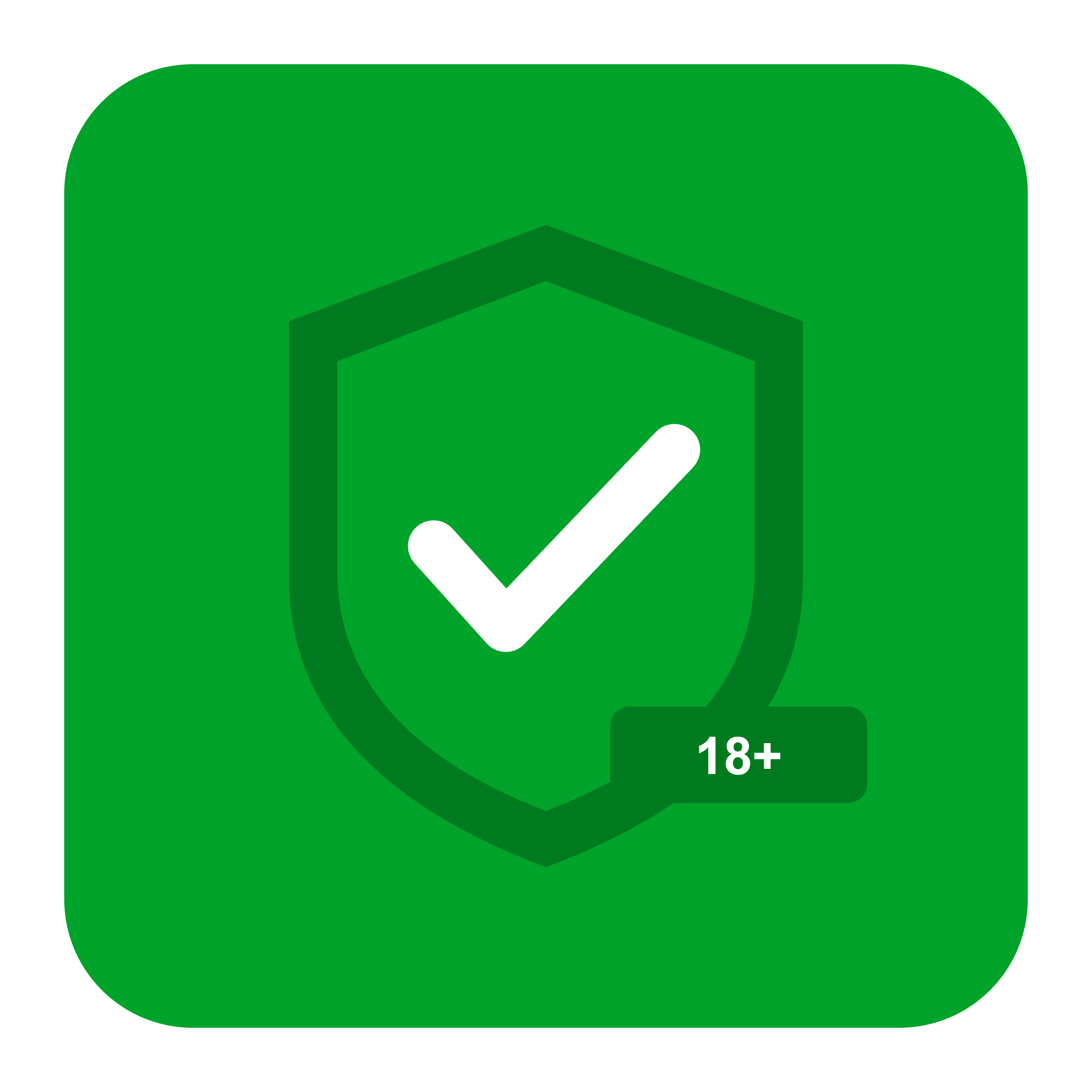 Pavel Silinskii Age Verification logo