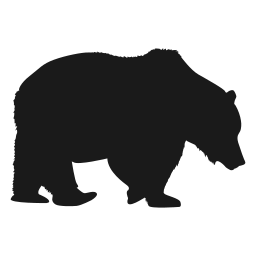 ICustomizer logo