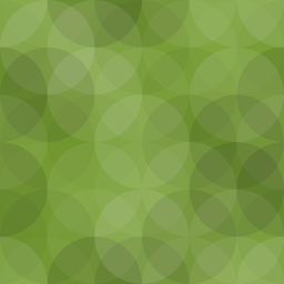Limit Revision Publishing logo
