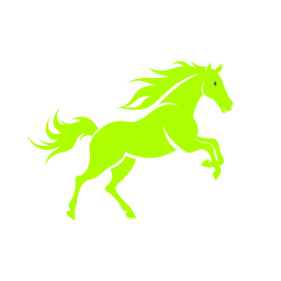 Mustang WPO – See Your Performance Clearly logo