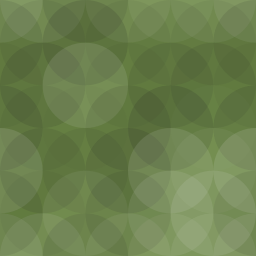 Nevamiss Auto Share logo
