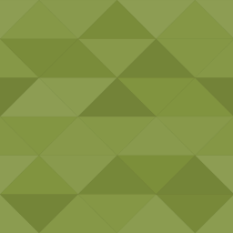 OS3 Website Protector logo