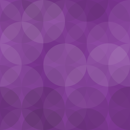 Raschgroup SEO Suite logo