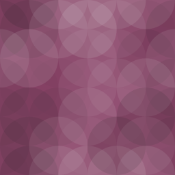 Saral Login Shield logo