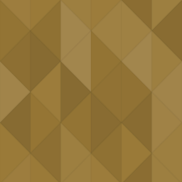 Solaxes HTTPS Migration Repair logo