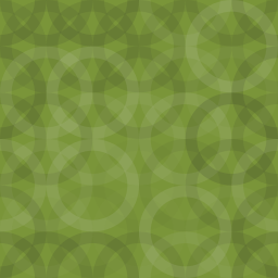 Super Duper Image Auto Optimizer logo