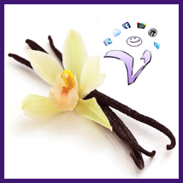 Vanilla Bean – Custom Login logo