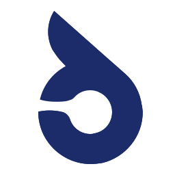 Version Pilot – Plugin Update Manager logo