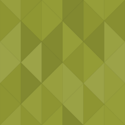 VersionGuard logo