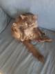 Tom the Cat
